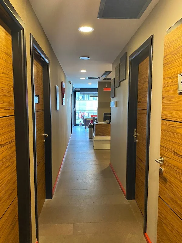 English School - Turan Yücel
