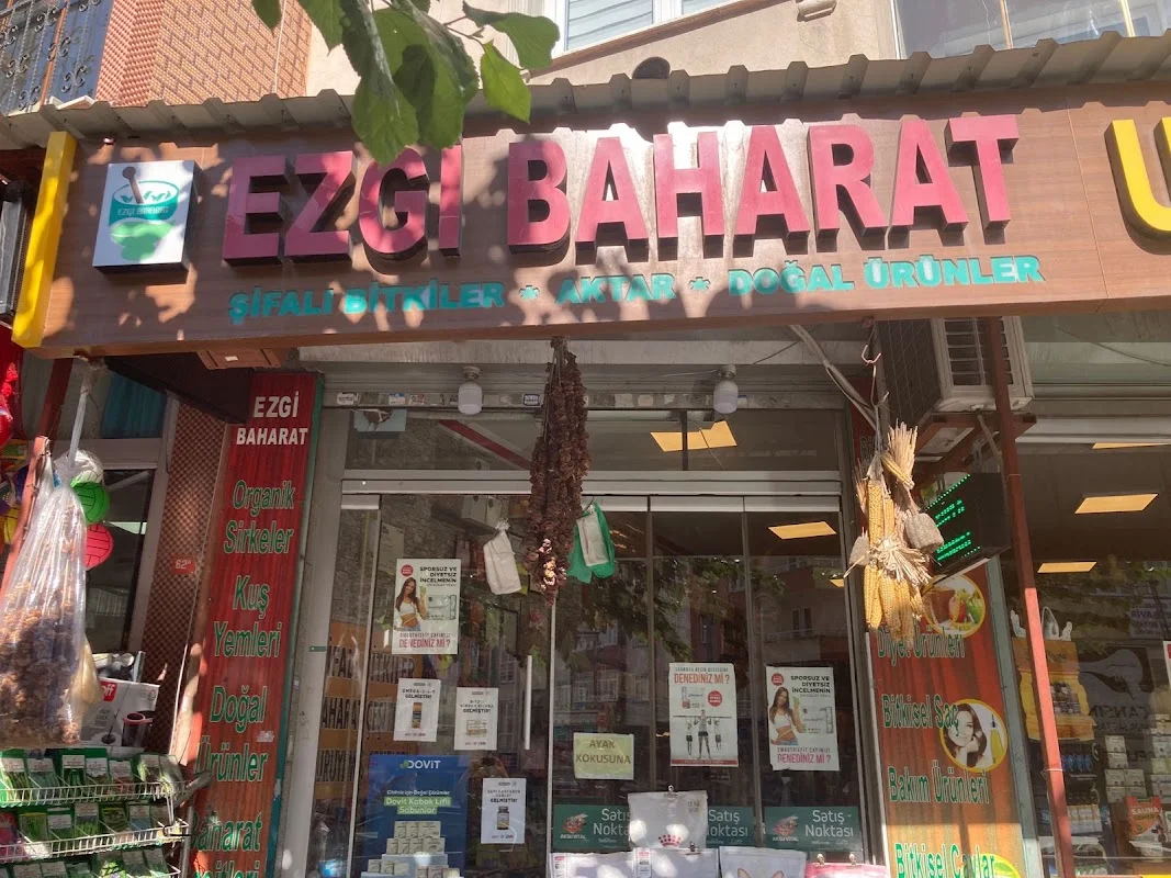 EZGİ AKTAR