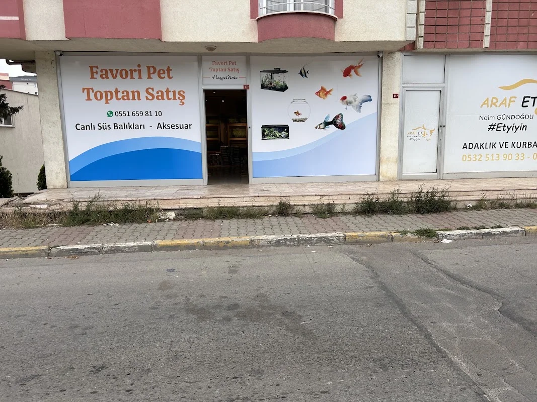 FAVORİ PET TOPTAN SATIŞ - Tuzla, İstanbul