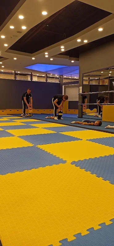 Fenerbahçe Cimnastik Okulu