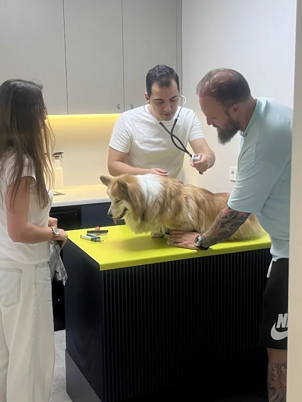 Fenerbahçe Veteriner Muayenehanesi