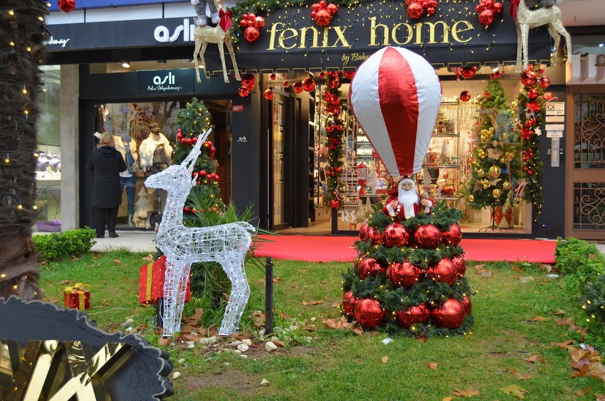 Fenix Home