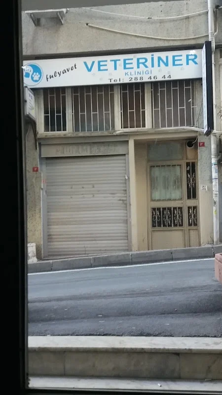 Fulyavet Veteriner Kliniği - Şişli, İstanbul