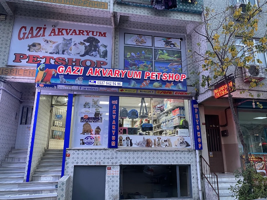 Gazi Akvaryum Pet Shop
