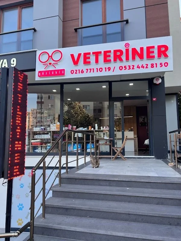 Gözlüklü Veteriner Kliniği