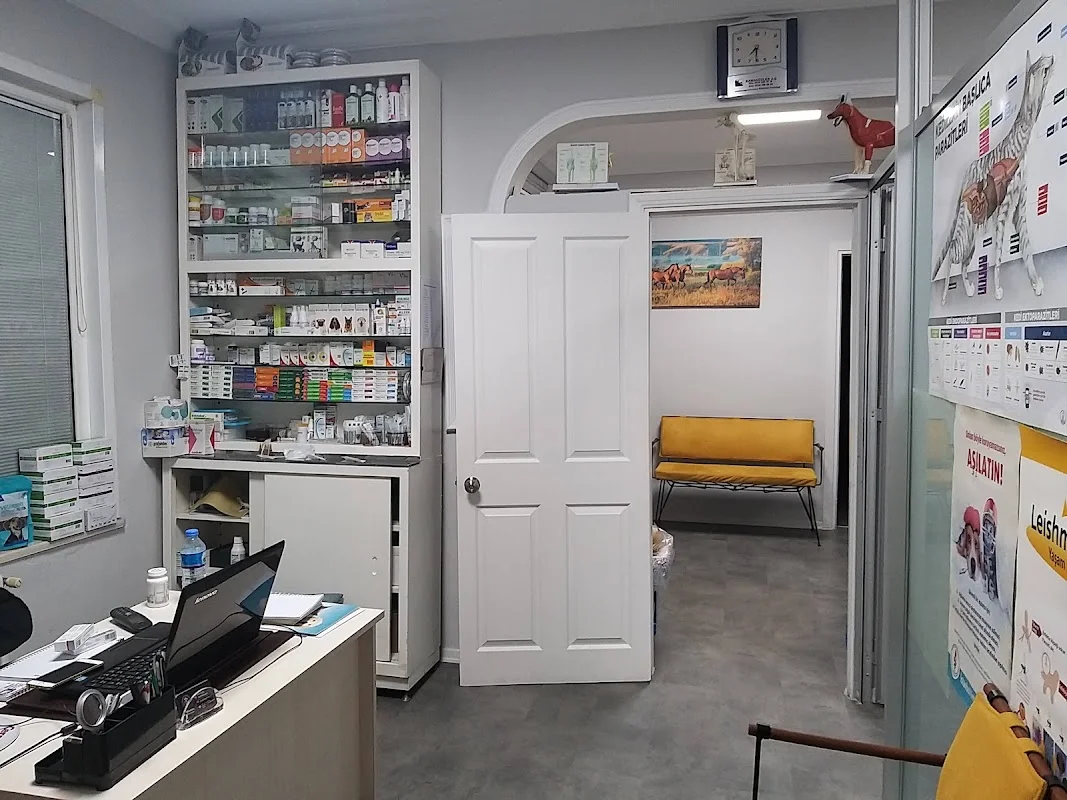 GÖZTEPE VETERİNER KLİNİĞİ