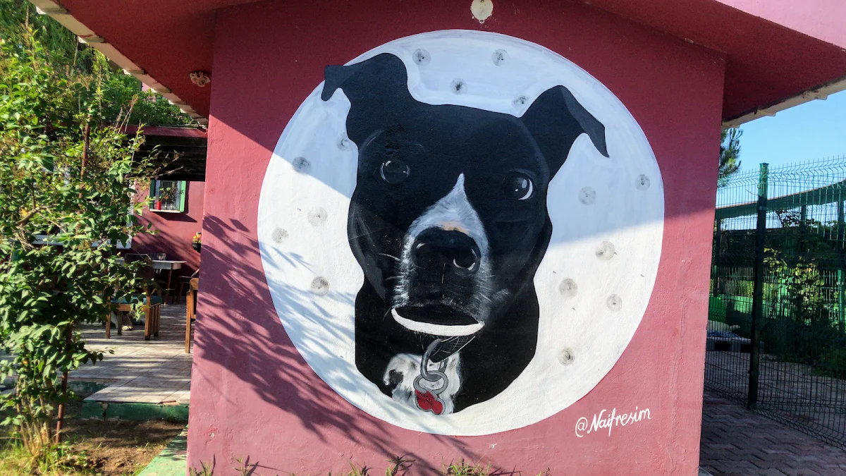 Hasdal Pet Otel