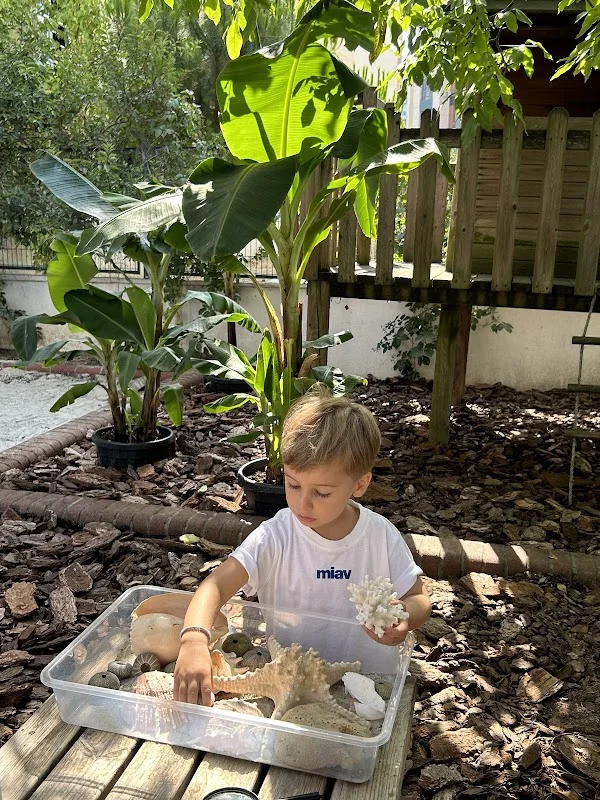 Hayat Ağacı Montessori Anaokulu