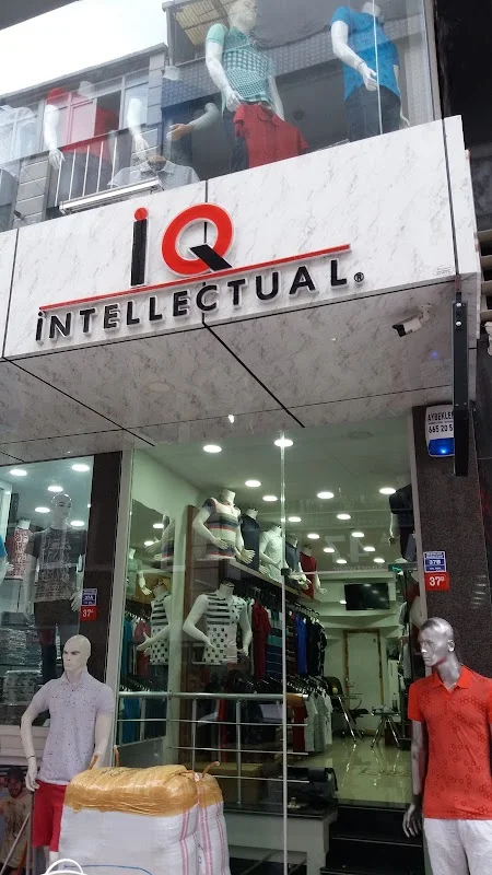 IQ BASICS(Intellectual)