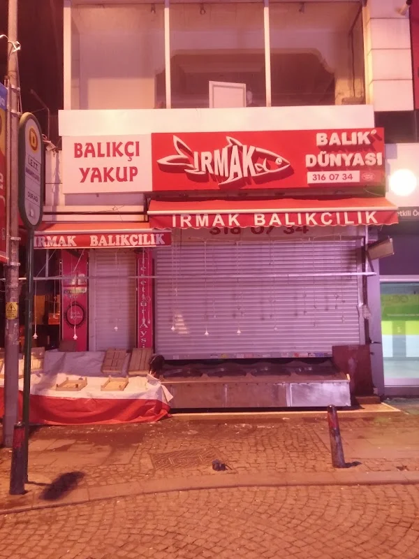 Irmak Balıkçılık - Ümraniye, İstanbul