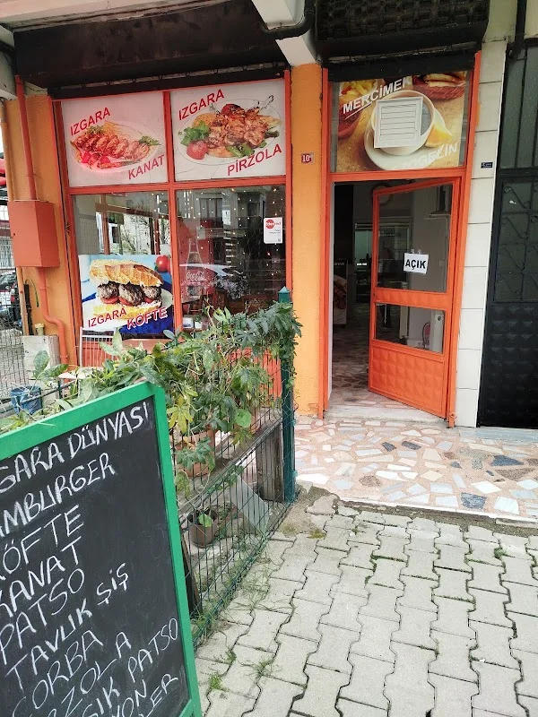 Izgara dünyası