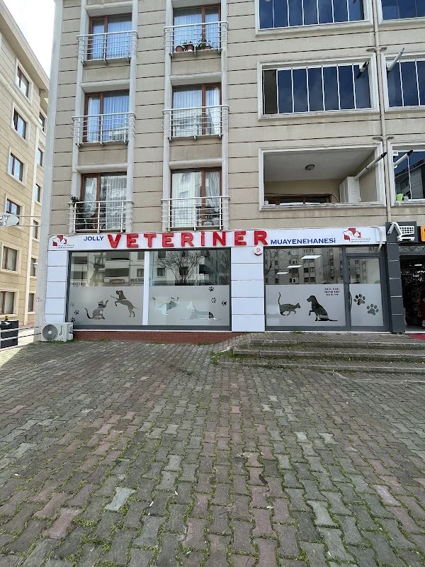Jolly Veteriner | Kartal Veteriner & Uğur Mumcu Veteriner Kliniği