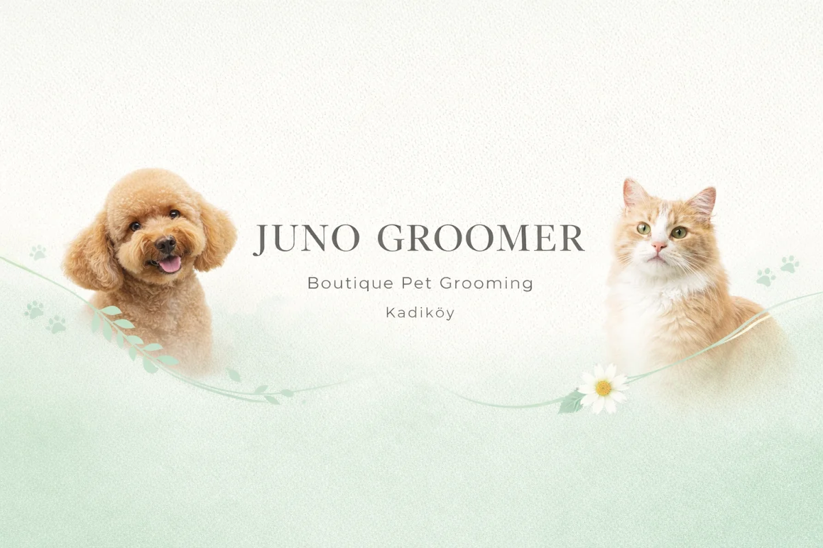 Juno Groomer | Pet Kuaför & Ozon-Spa
