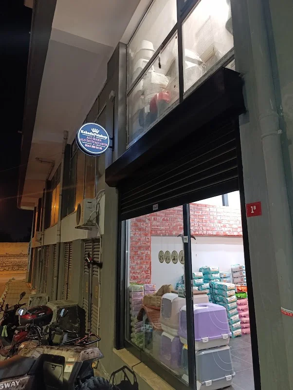 KakaduPetshop-Zeytinburnu~Dikilitaş