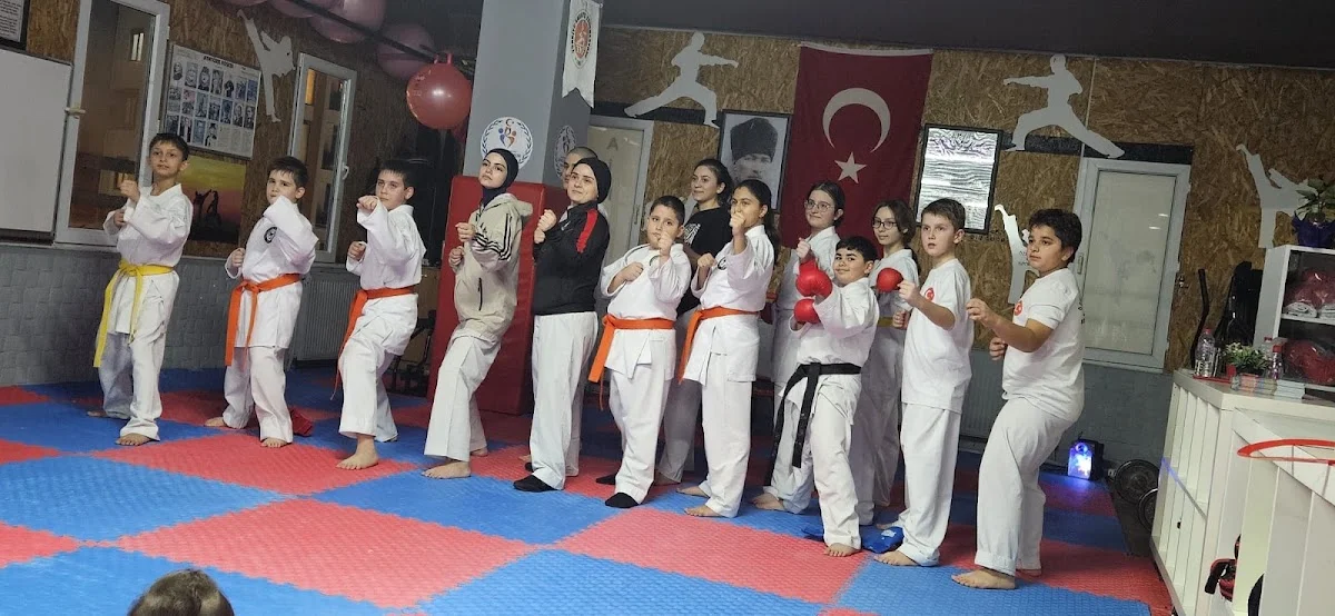 Karate /Aikido/Kickboks /Krav maga/Özel Maltepe Gençler Spor Kulübü