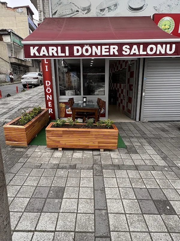 Karlı Döner