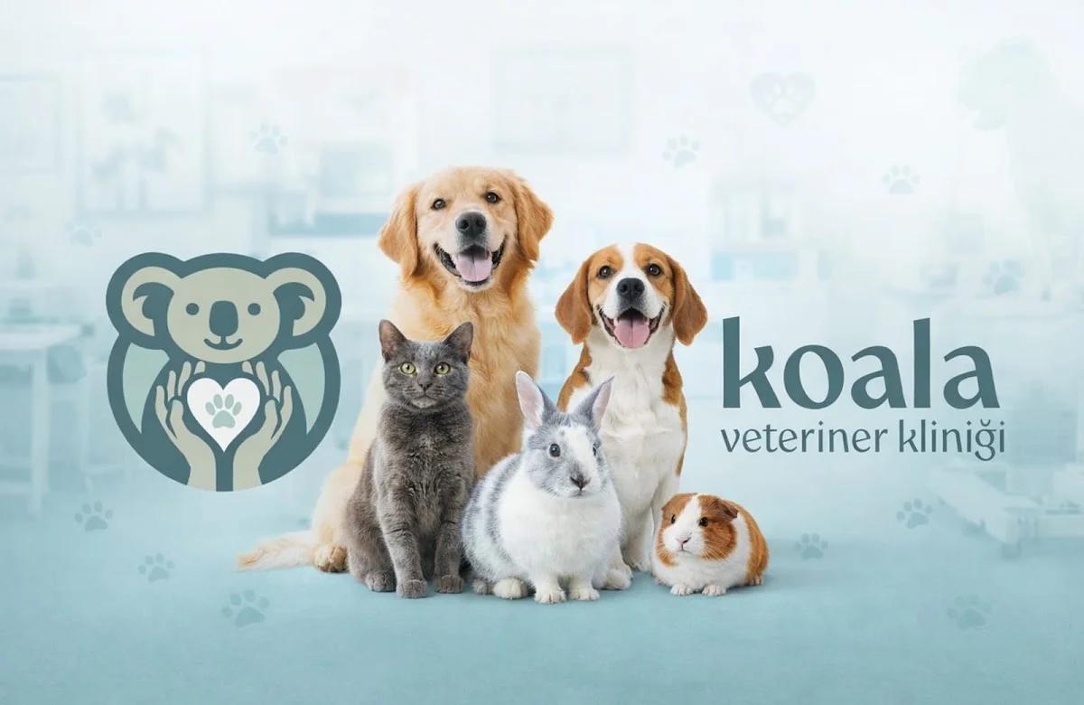 Koala Veteriner Kliniği (Pet ve Kuş Muayenehanesi) Acil durumlarda 7/24