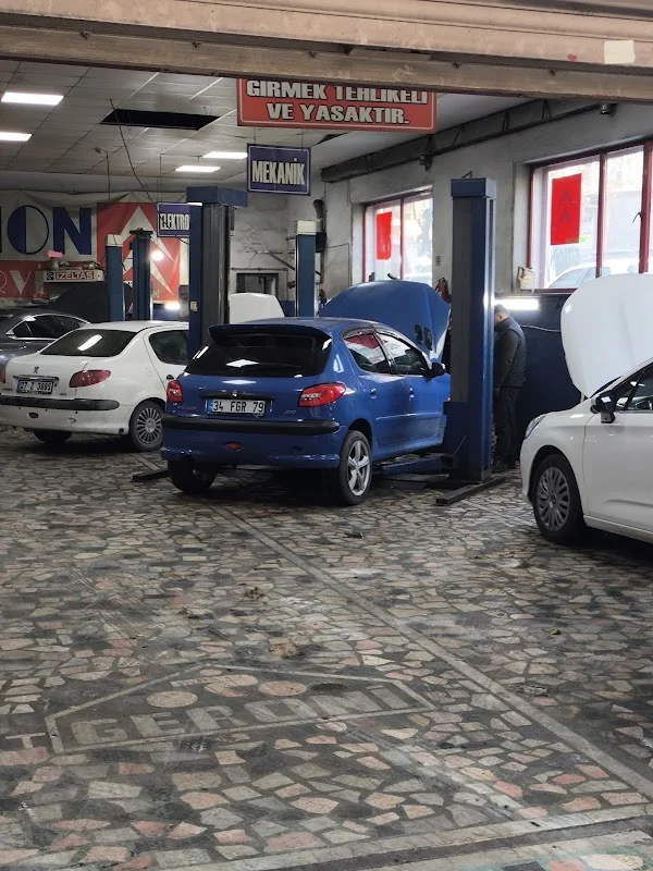 Lion Servis