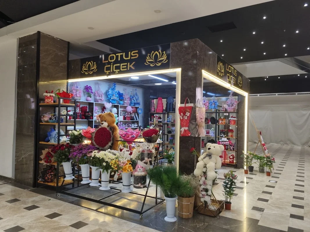 Lotus Çiçek