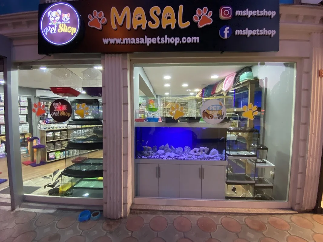 Masal Petshop - Bahçelievler, İstanbul