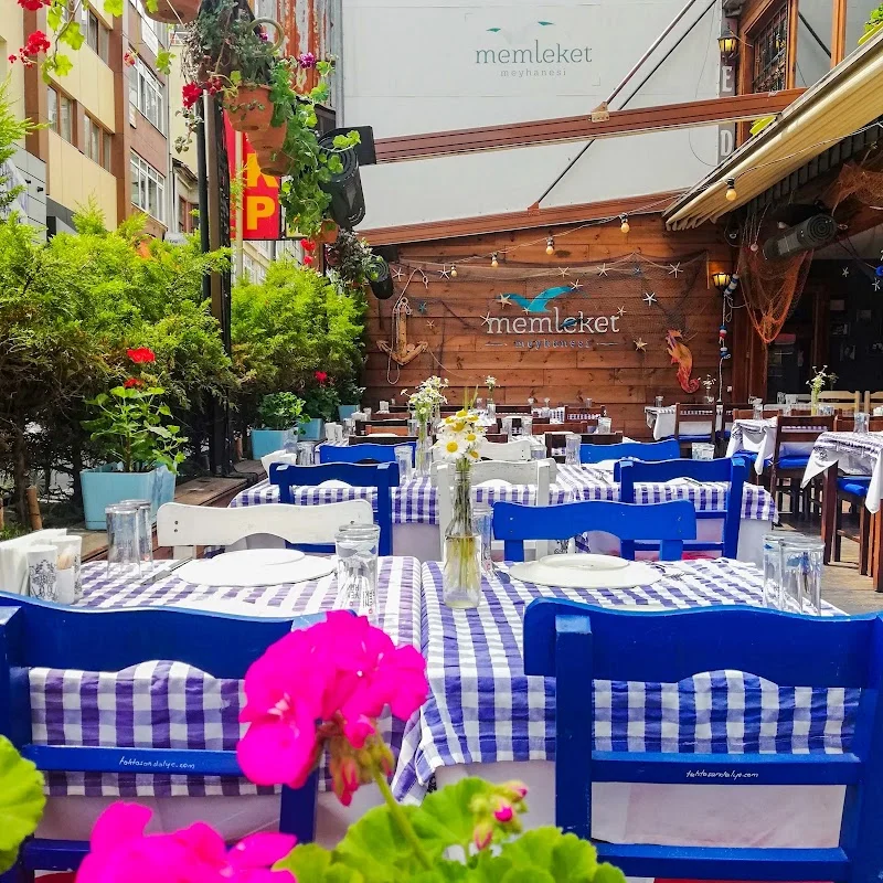 Memleket Meyhanesi