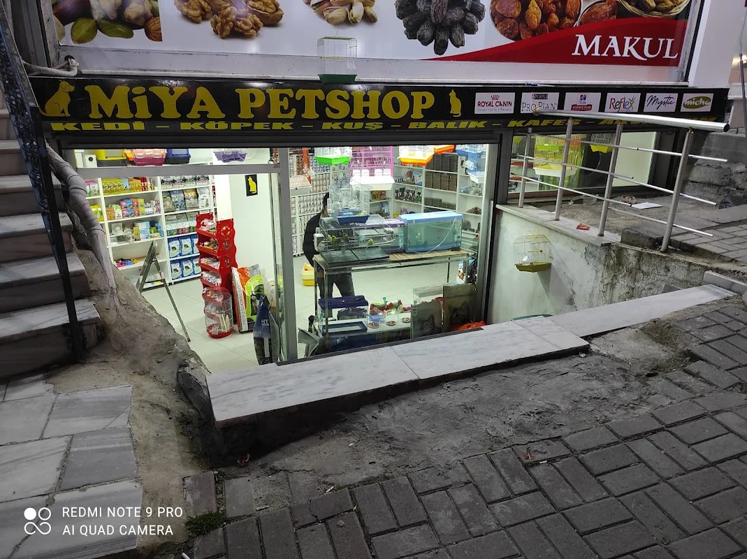 Miya Petshop