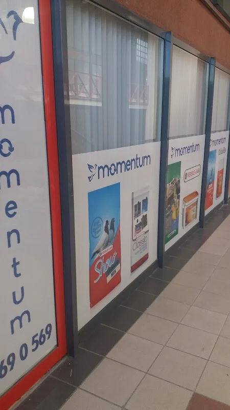 Momentum - Esenler, İstanbul