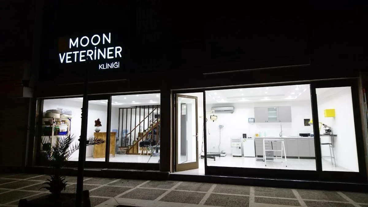 Moon Veteriner Kliniği