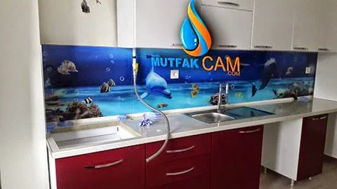MUTFAK CAM