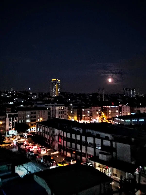 Nene Hatun Aile Sağlık Mer. - Esenler, İstanbul