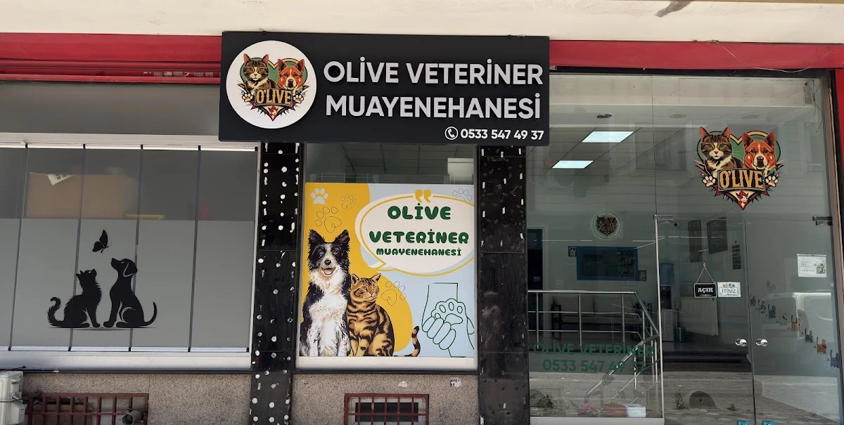 Olive Veteriner Kliniği Zeytinburnu