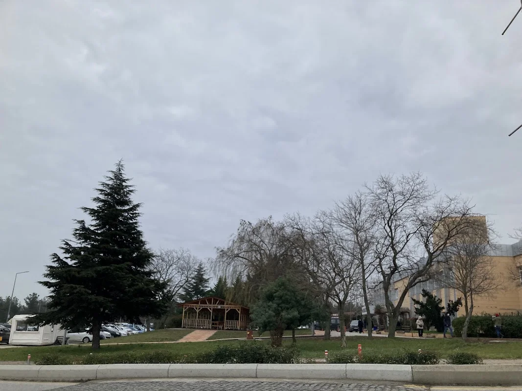 Ondokuz Mayıs Üniversitesi