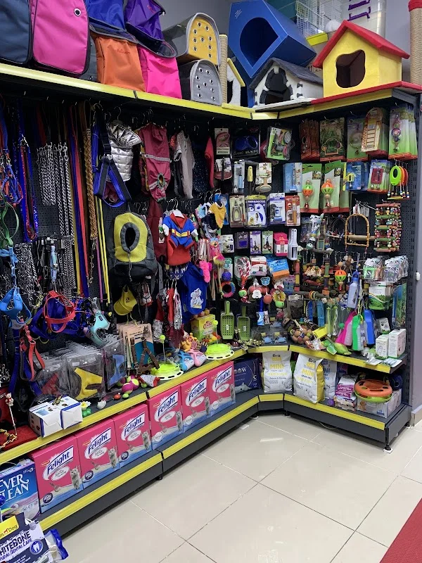 Orjin Pet Shop - Beyoğlu, İstanbul