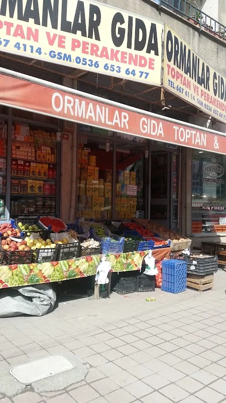 Ormanlar Gıda