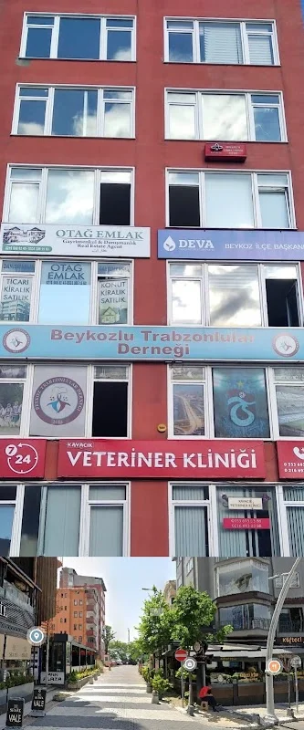 OTAĞ EMLAK