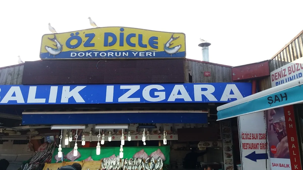 Öz Dicle Doktorun Yeri