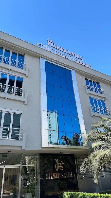 Palmer&Still Fizik Tedavi ve Rehabilitasyon Merkezi