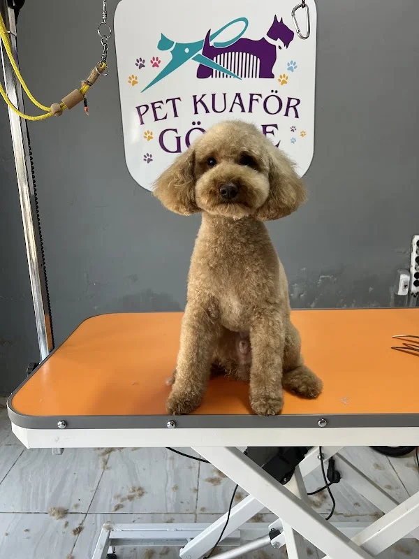 Pet Kuaför GÖKÇE