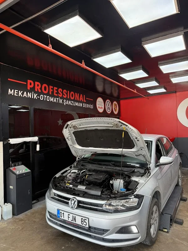 PROFESSIONAL ÖZEL SERVİS - Kartal, İstanbul