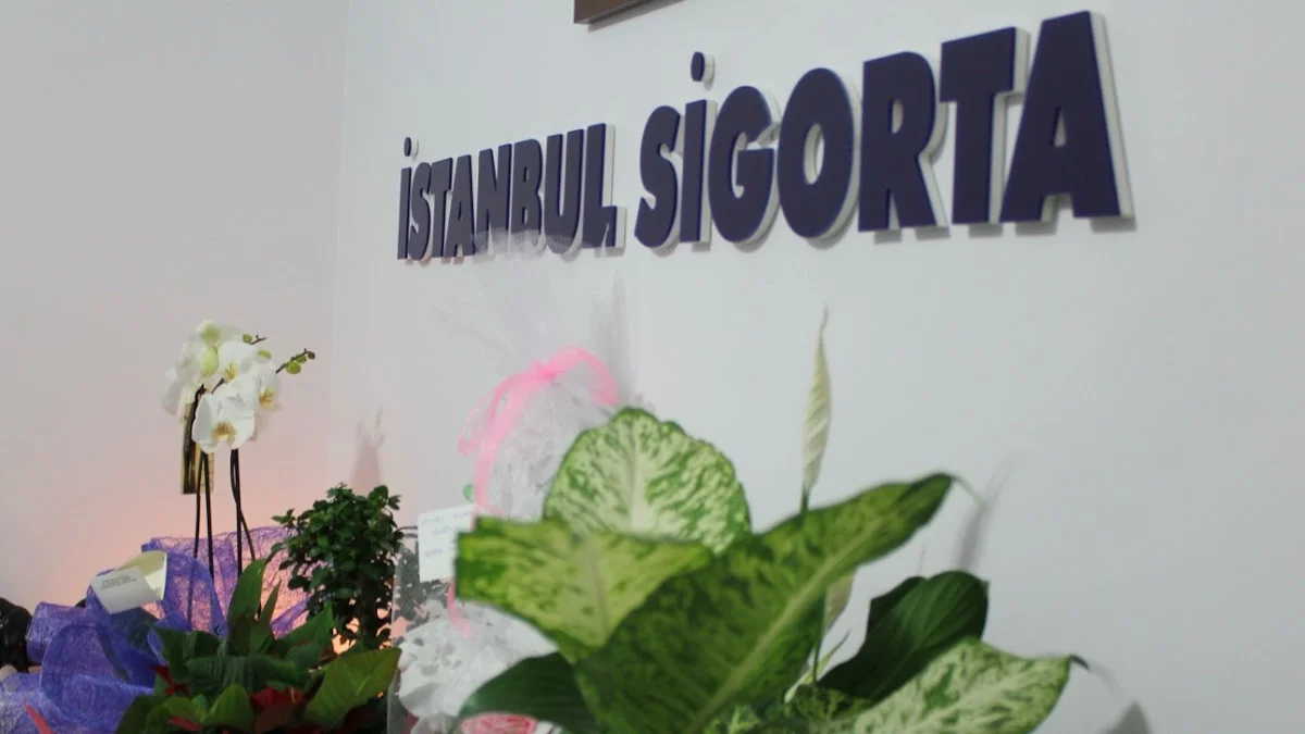 RMD İSTANBUL SİGORTA ARACILIK HİZMETLERİ LTD.ŞTİ. - Büyükçekmece, İstanbul