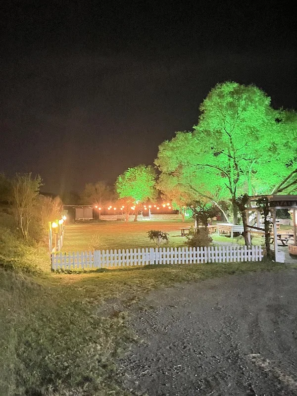 Safari Life İstanbul
