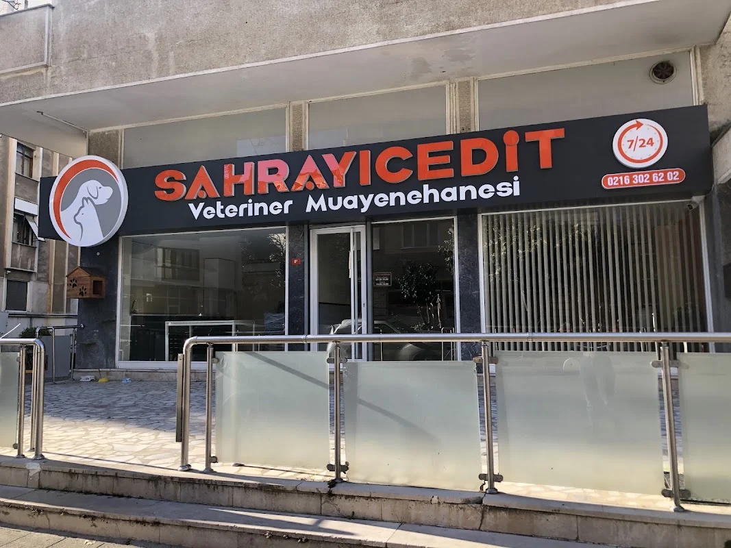 Sahrayıcedit Veteriner Kliniği 7/24 Acil Müdahale