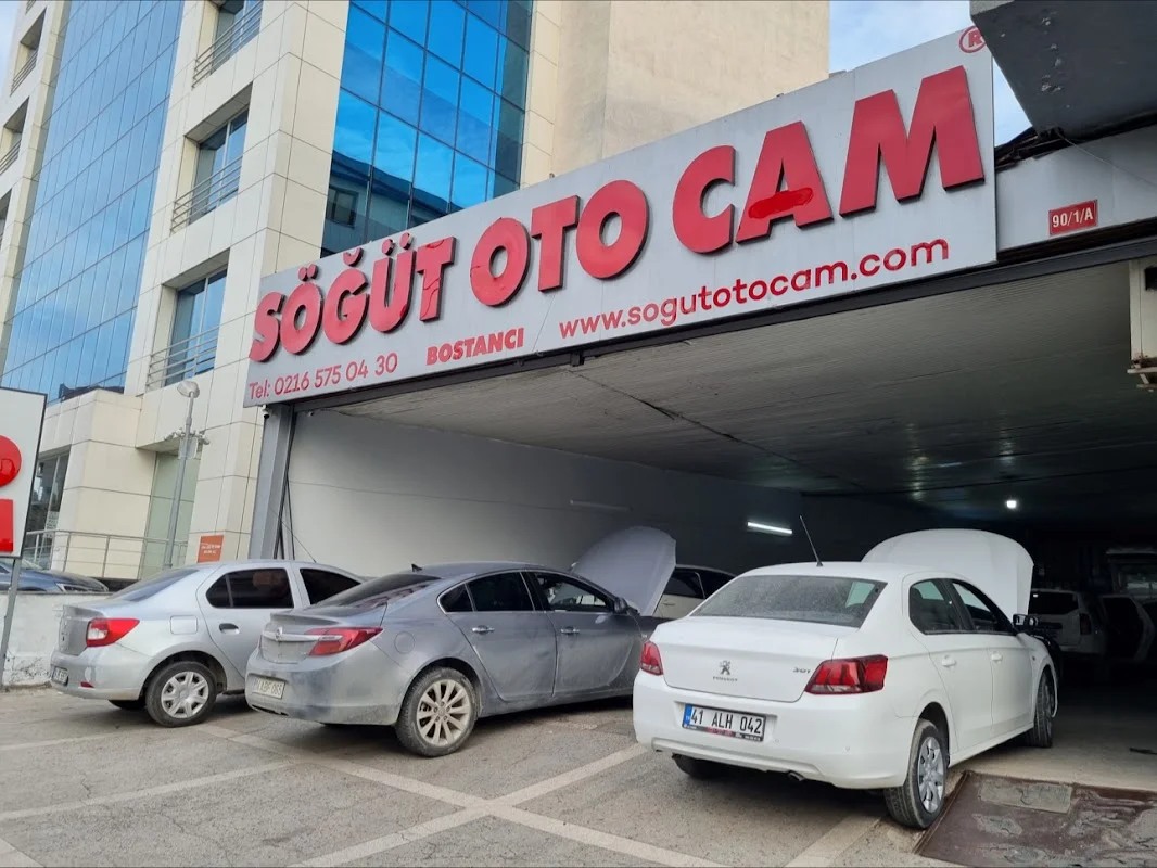 Söğüt Oto Cam® Bostancı Köprüsü