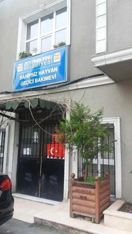 Sokak Hayvanları Rehabilite Ve Bakım Merkez - Zeytinburnu, İstanbul