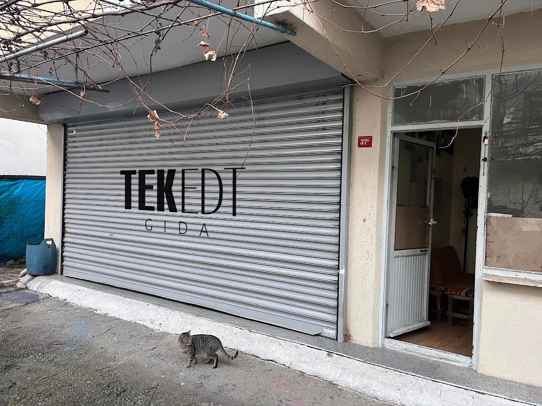 TEK EDT GIDA