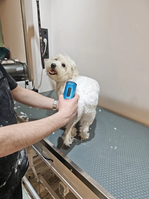 TüyTelaşı pet kuaför