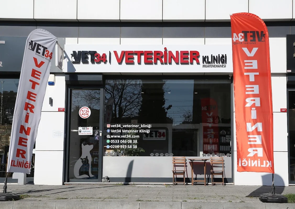 Vet34 Kartal Veteriner Kliniği | 7/24 Acil & Nöbetçi Veteriner