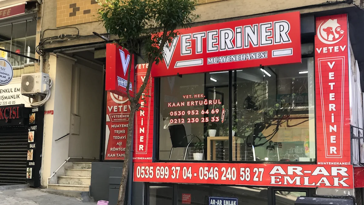 VETEV VETERİNER KLİNİĞİ - Şişli, İstanbul