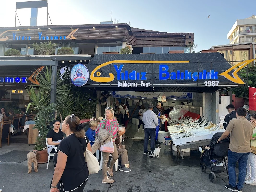 Yıldız Balıkçılık