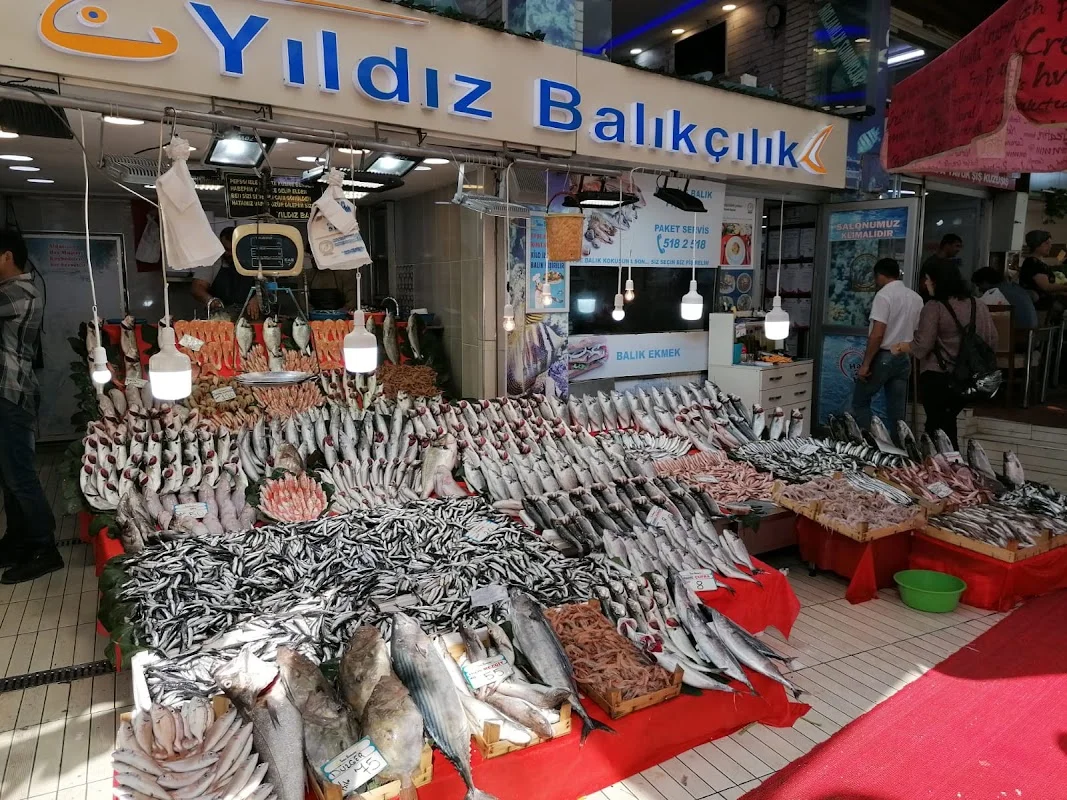 Yıldız Balıkçılık